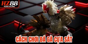 Cách Chơi Đá Gà Cựa Sắt